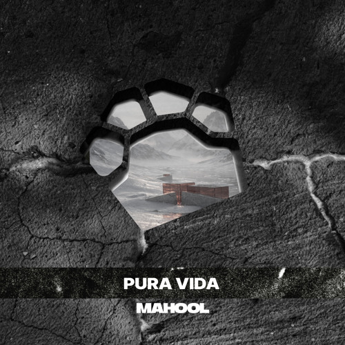 Pura Vida